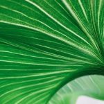 pexels-photo-3626993