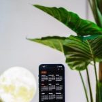 pexels-photo-16247538